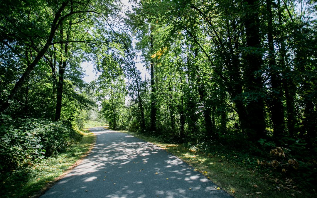 Accessible Trails in Surrey, BC